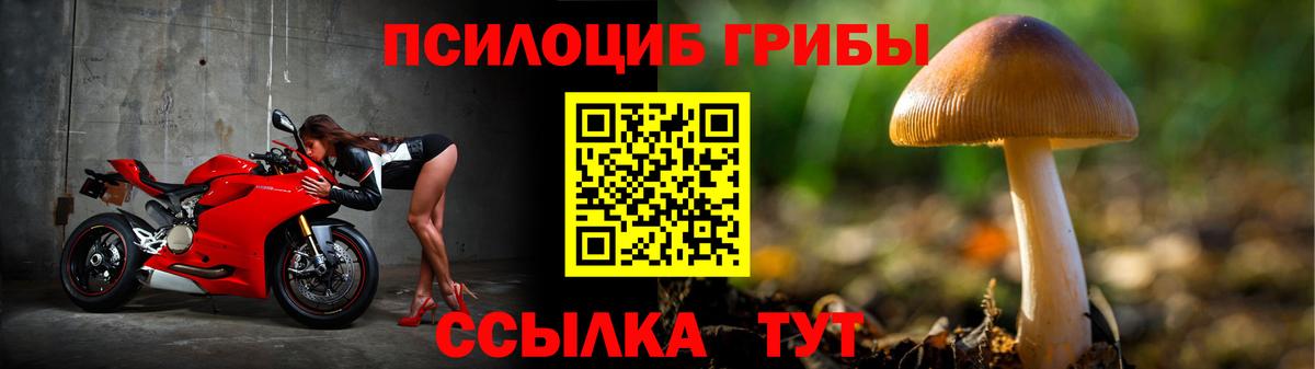 Псилоцибиновые грибы ЛСД  Галлюциногенные грибы мухоморы  Вход с VPN  Чистополь 